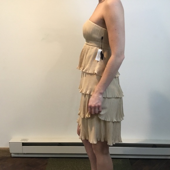 Anna Sui Tan Pleated Tiered Strapless Dress - Picture 3 of 8